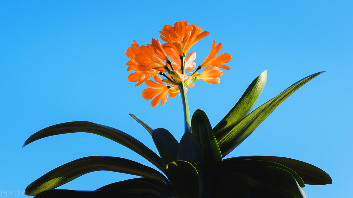 让自己变得强大的12个建议,让自己强大起来的20件事