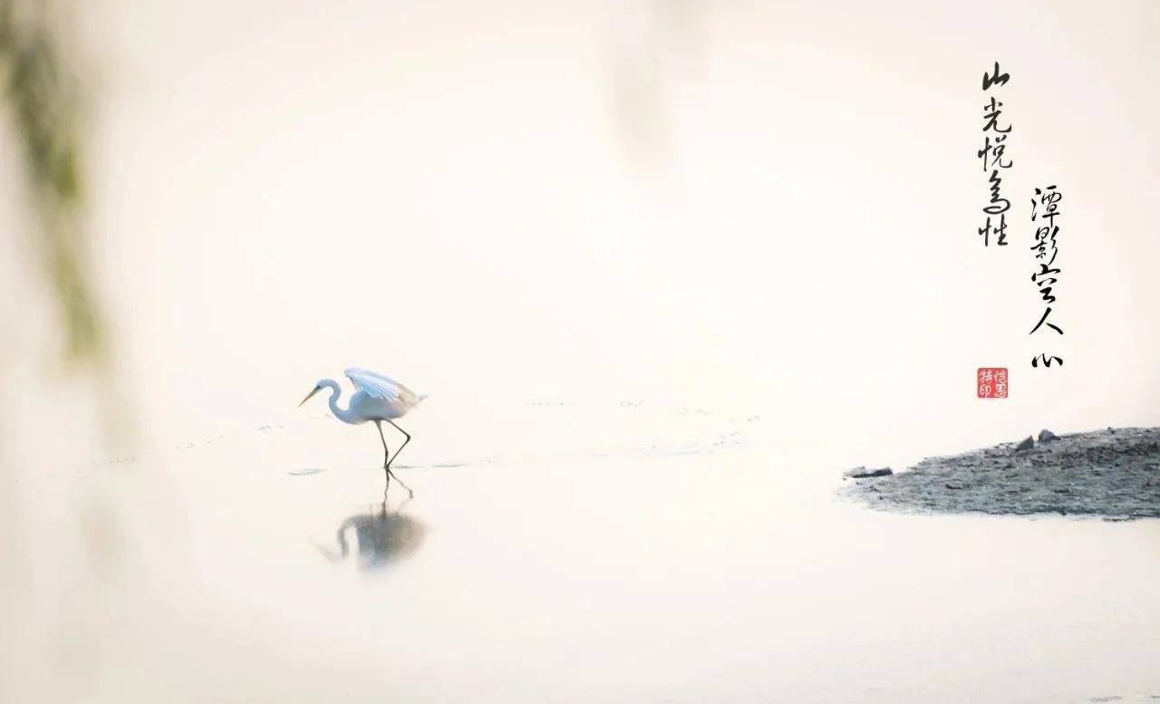 几时归去仍是闲人,何时归去做个闲人图片