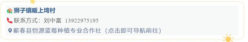 六月果采摘,蕲春水果采摘基地