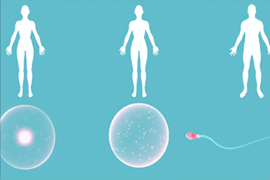 中医治疗不孕症最佳方法,中医治疗不孕不育有治疗好的吗