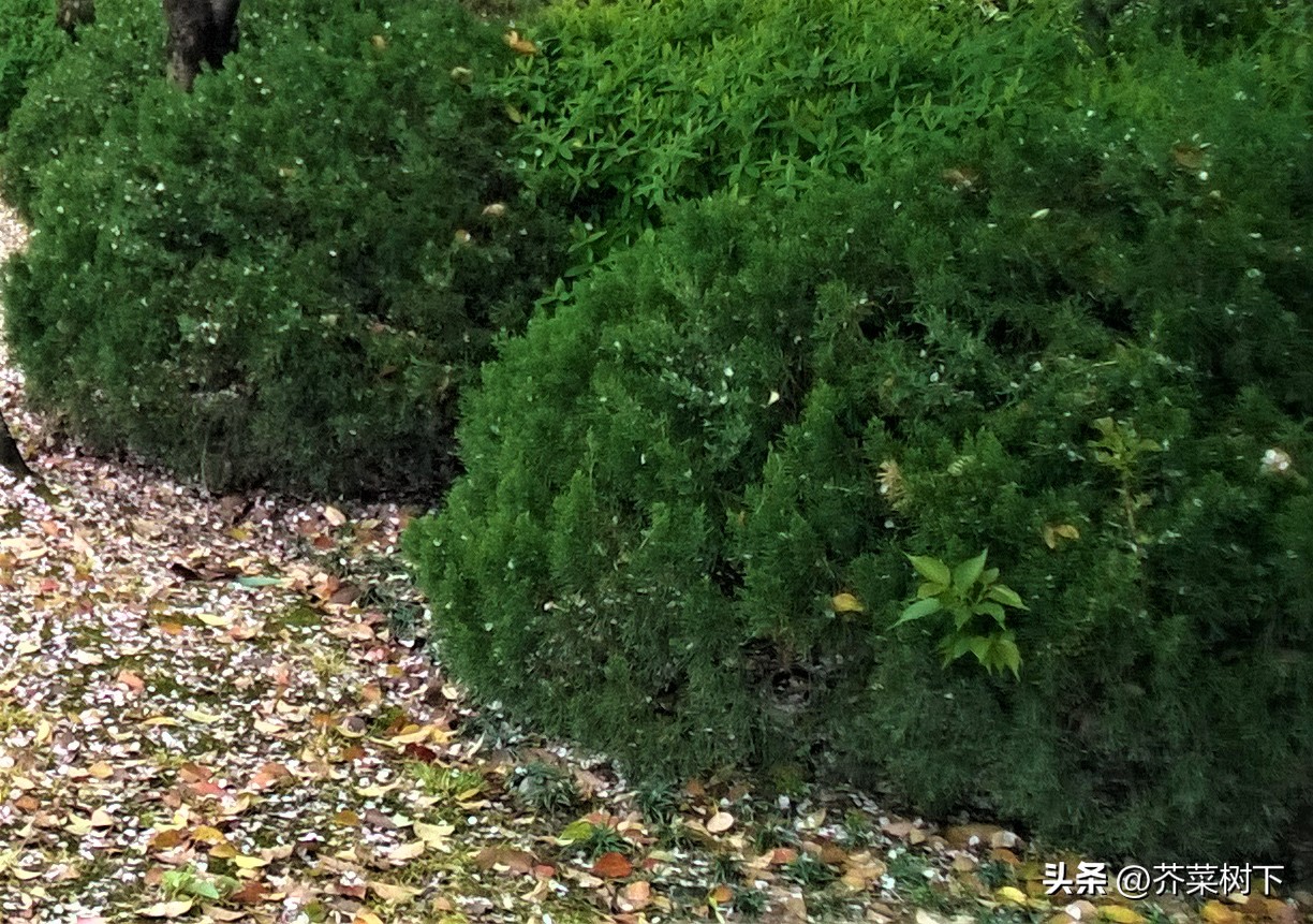 客户丢了项目怎么安慰他,客户丢件了怎么处理