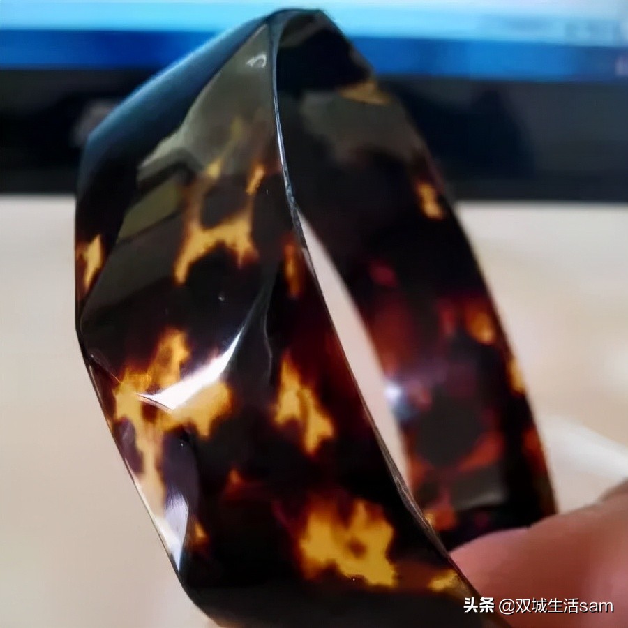 玳瑁为什么又是猫又是龟,玳瑁猫为啥叫玳瑁