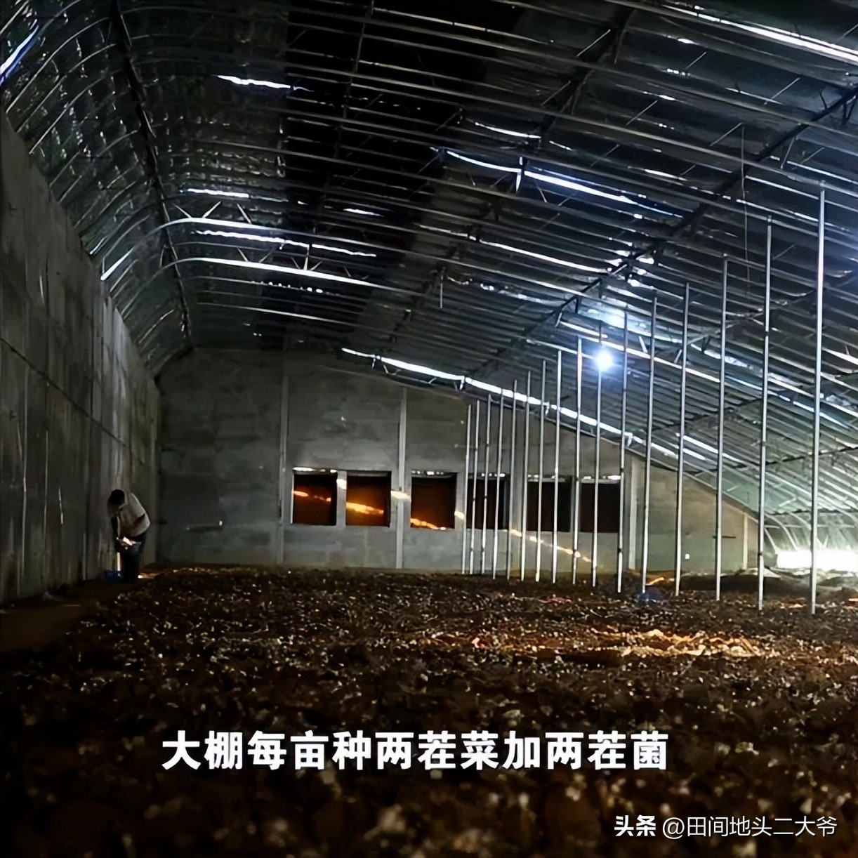 种植业最赚钱的方法,农业种植的赚钱方法有哪些