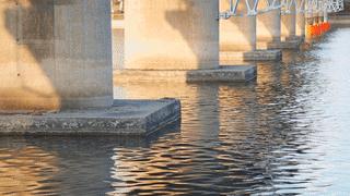 鑻旈潚褰卞儚鑹烘湳,鑻旈潚褰卞儚浣滃搧