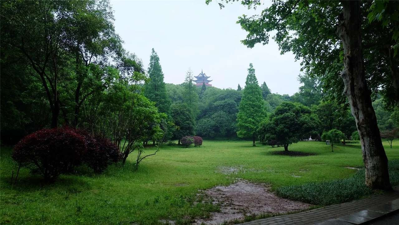 神农公园风景,神农公园的风景