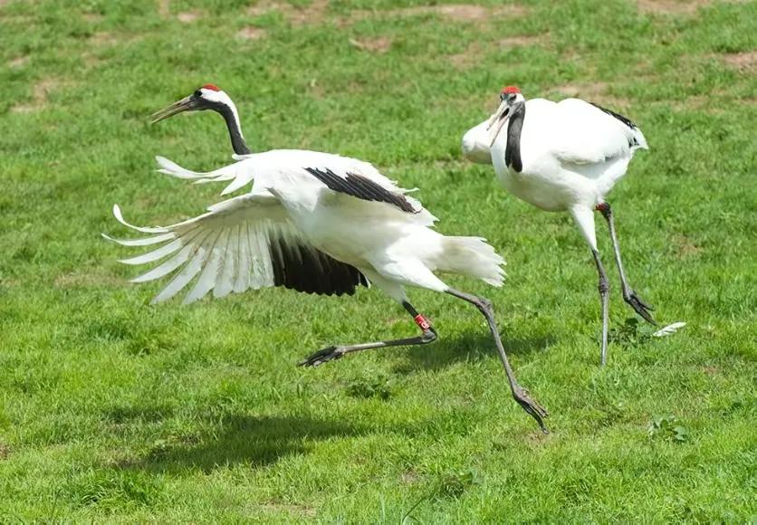 原创诗词绝句10首,七言绝句古诗一首