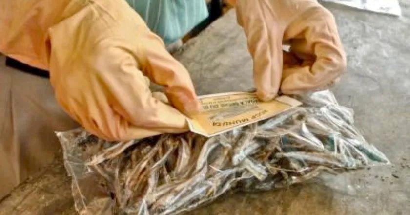 过海关不能携带什么危险品,过海关不能带哪些食物