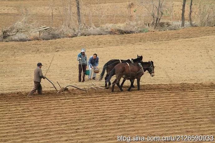 五律初冬雨,二十四节气谷雨五律