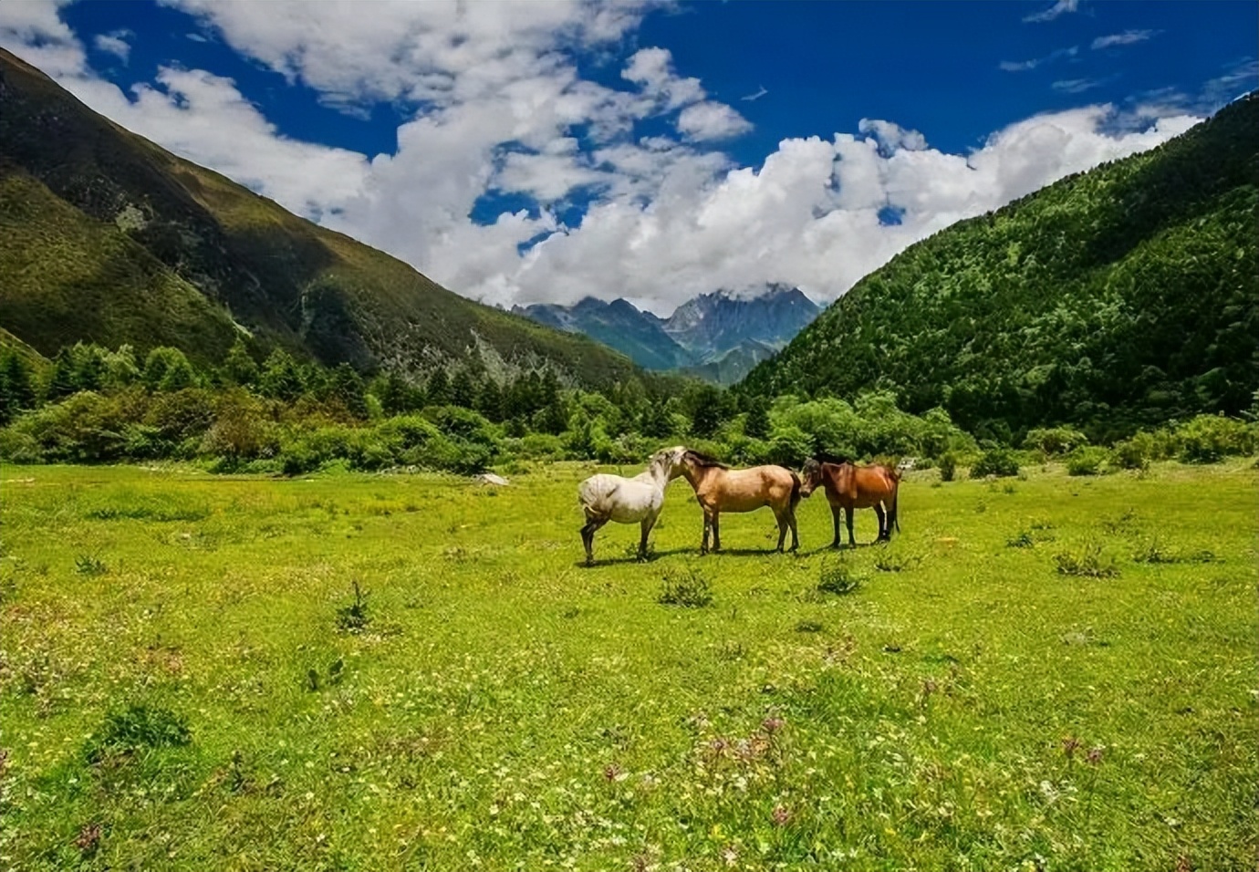 2021年中国旅游日四川景点优惠,四川中国旅游日优惠