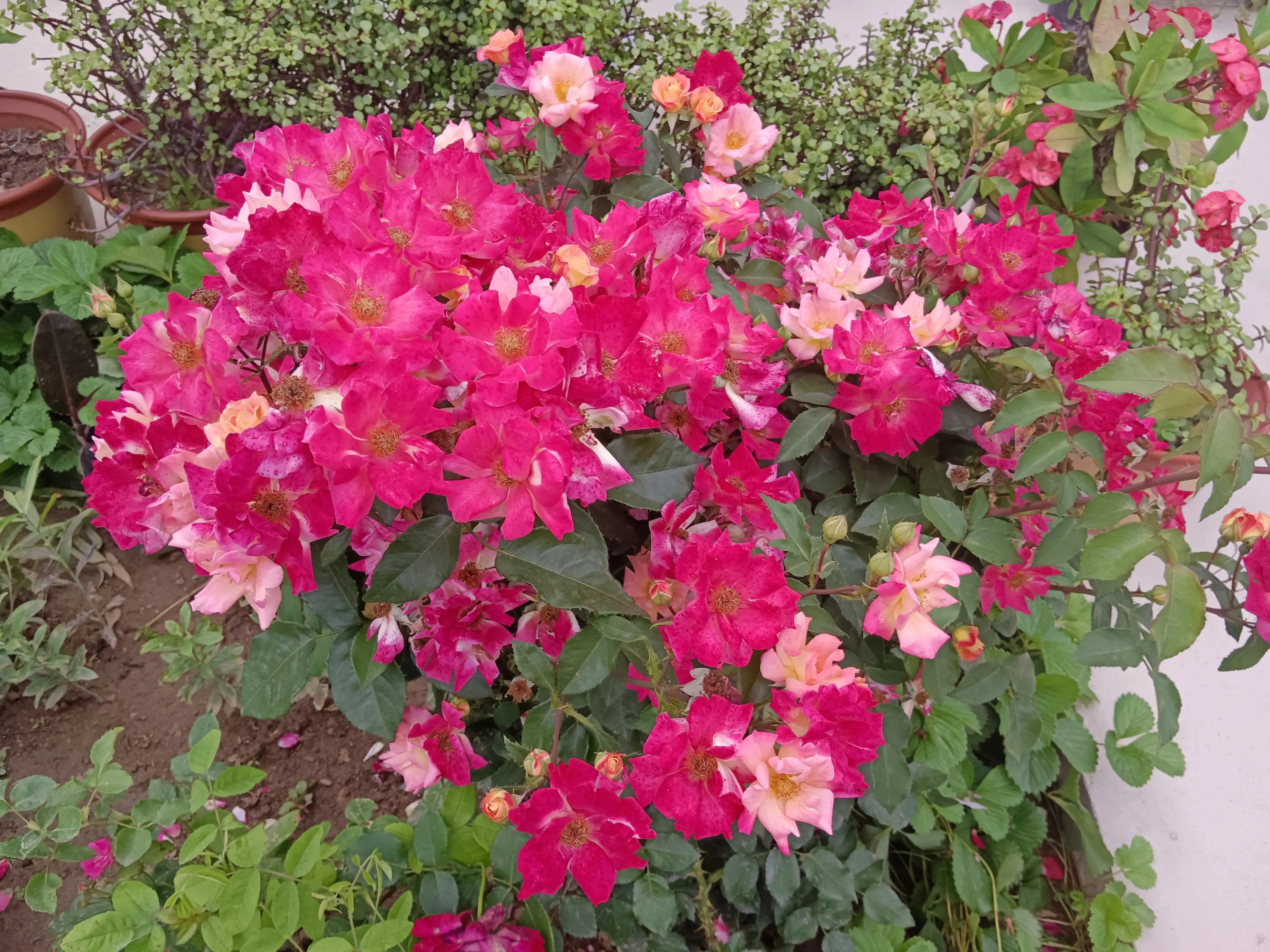 横扫千军之“君”字篇