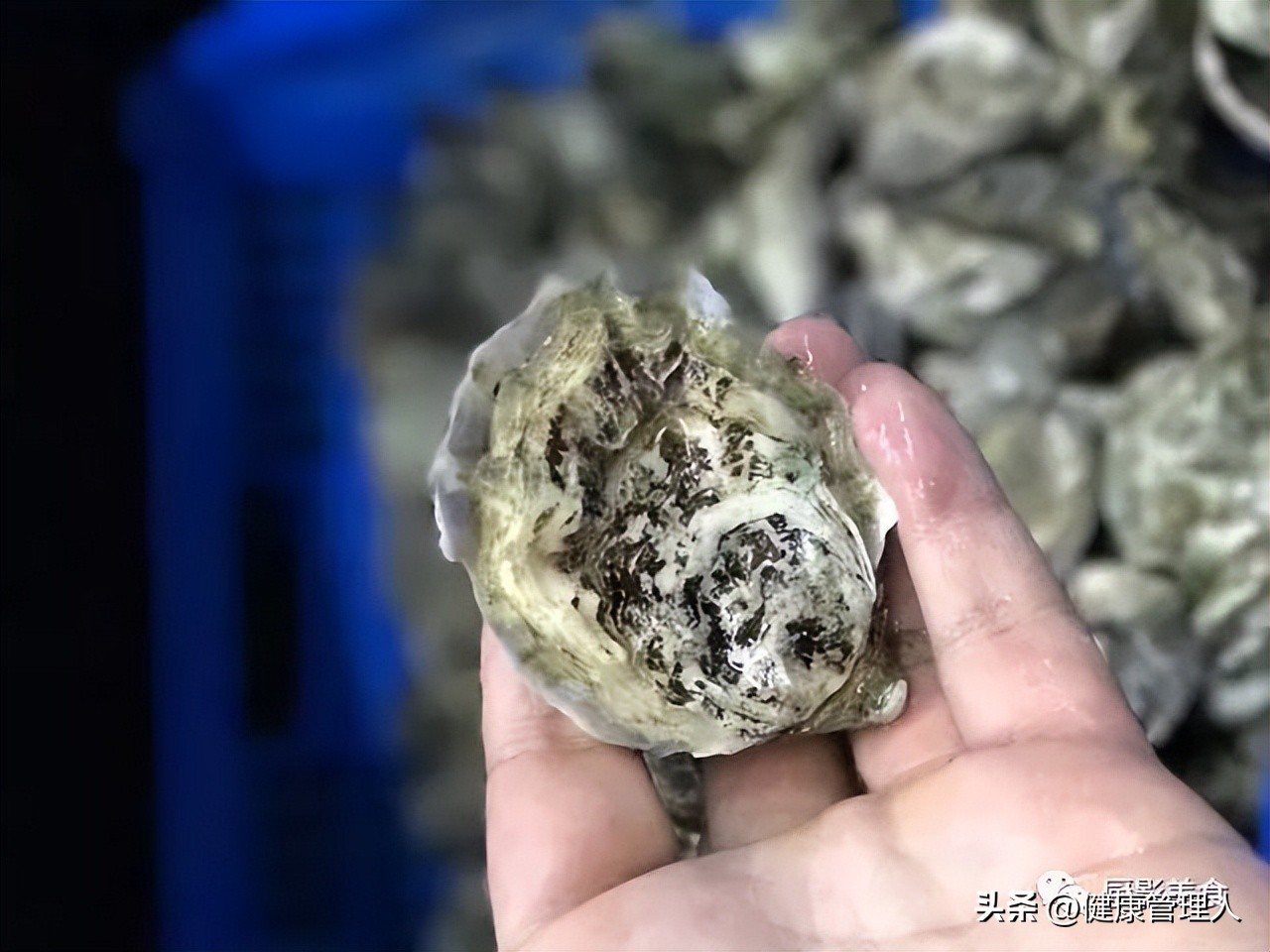 海鲜贝类品种大全及名字,22种海鲜贝类做法大全