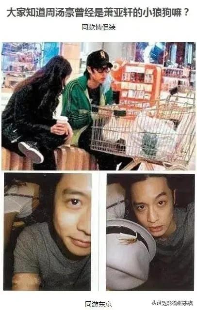 萧亚轩和陈冠希,陈冠希和萧亚轩新闻