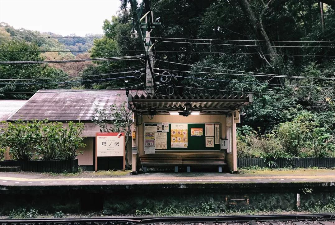 日本一个女生自己去旅游,女生日本独自旅行
