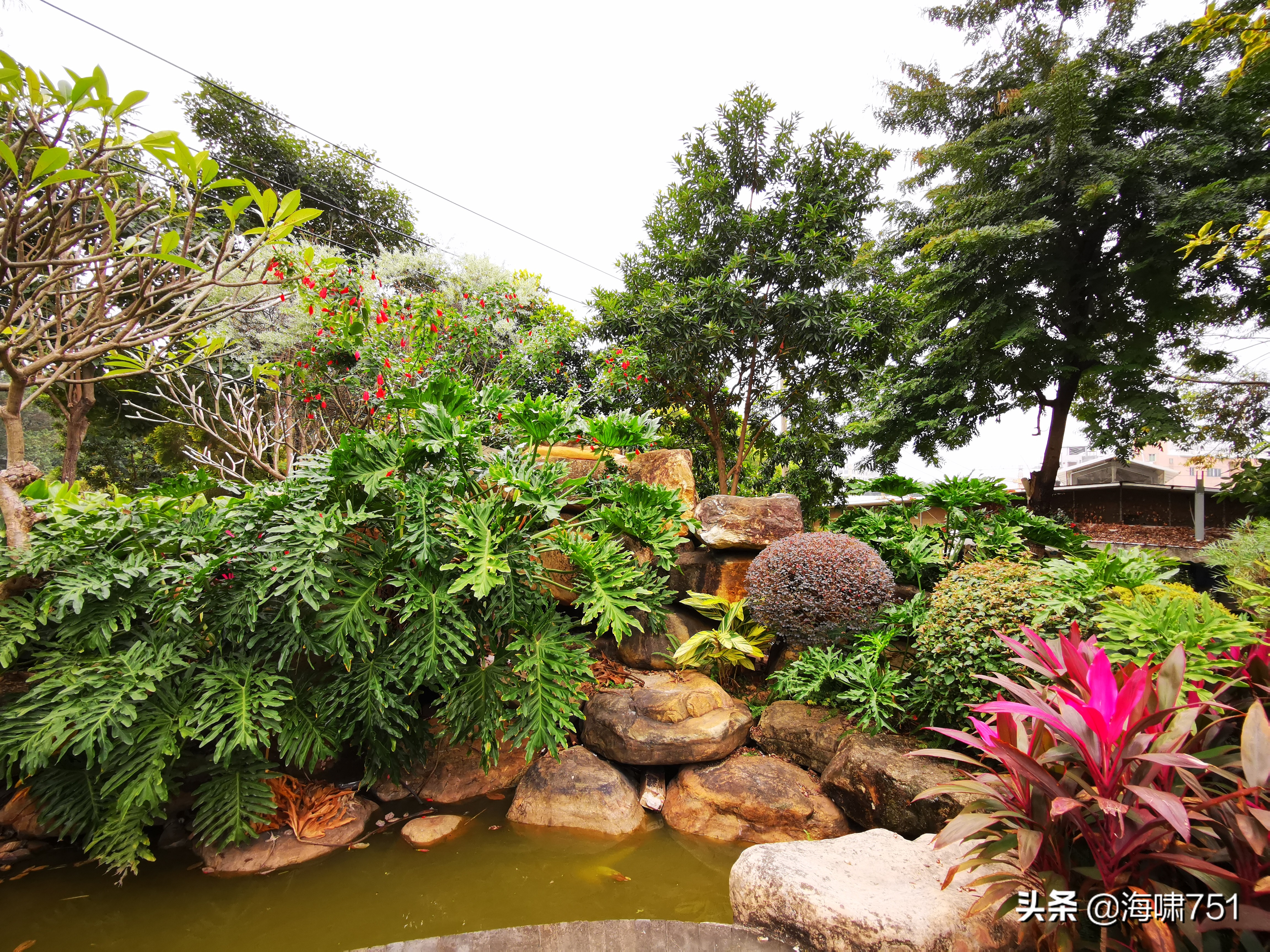 陈田花园全景图,陈田花园照片