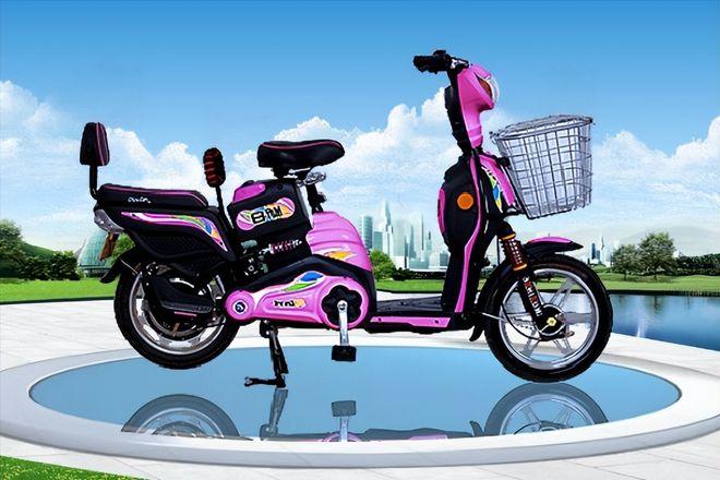 新日老板张崇舜座驾,新日电动车张崇胜演讲