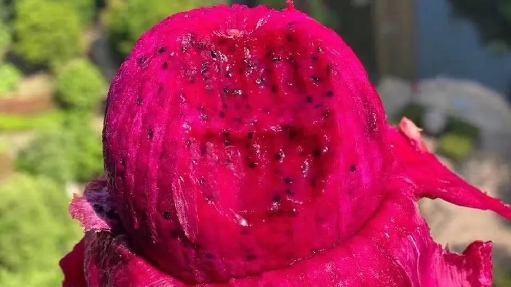 开一个简单水果店要多少钱,开一个小型的水果店需要多少钱