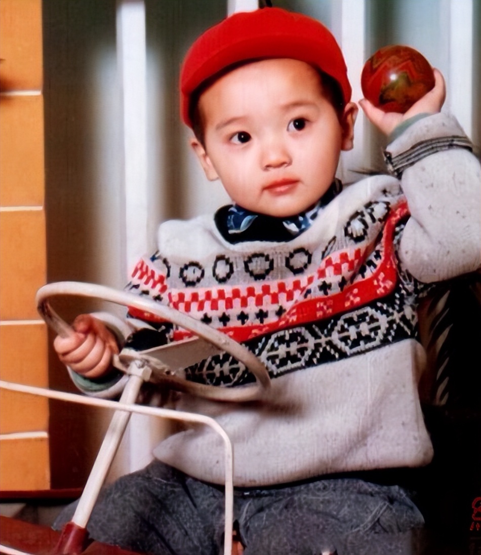 董璇走出离婚阴影,董璇离婚后的状况