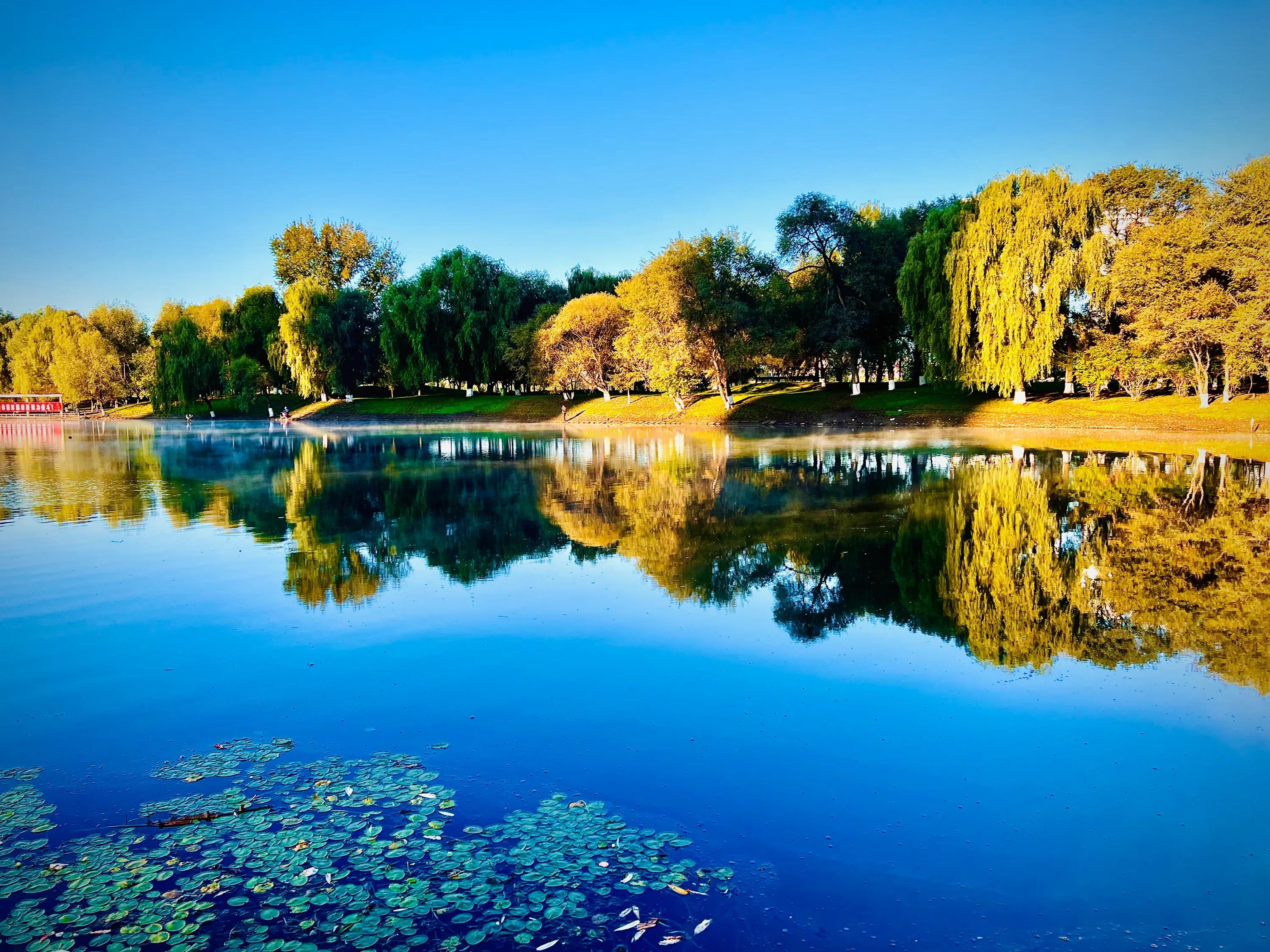 绉嬫按鏃犳仚姝岃瘝,绉嬫按鏃犳仚鍚庣画瀹岀粨