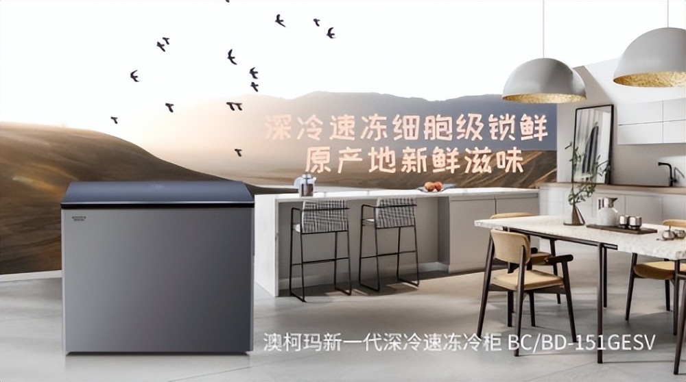 澳柯玛速冻冰柜价格,澳柯玛深冷速冻冷柜