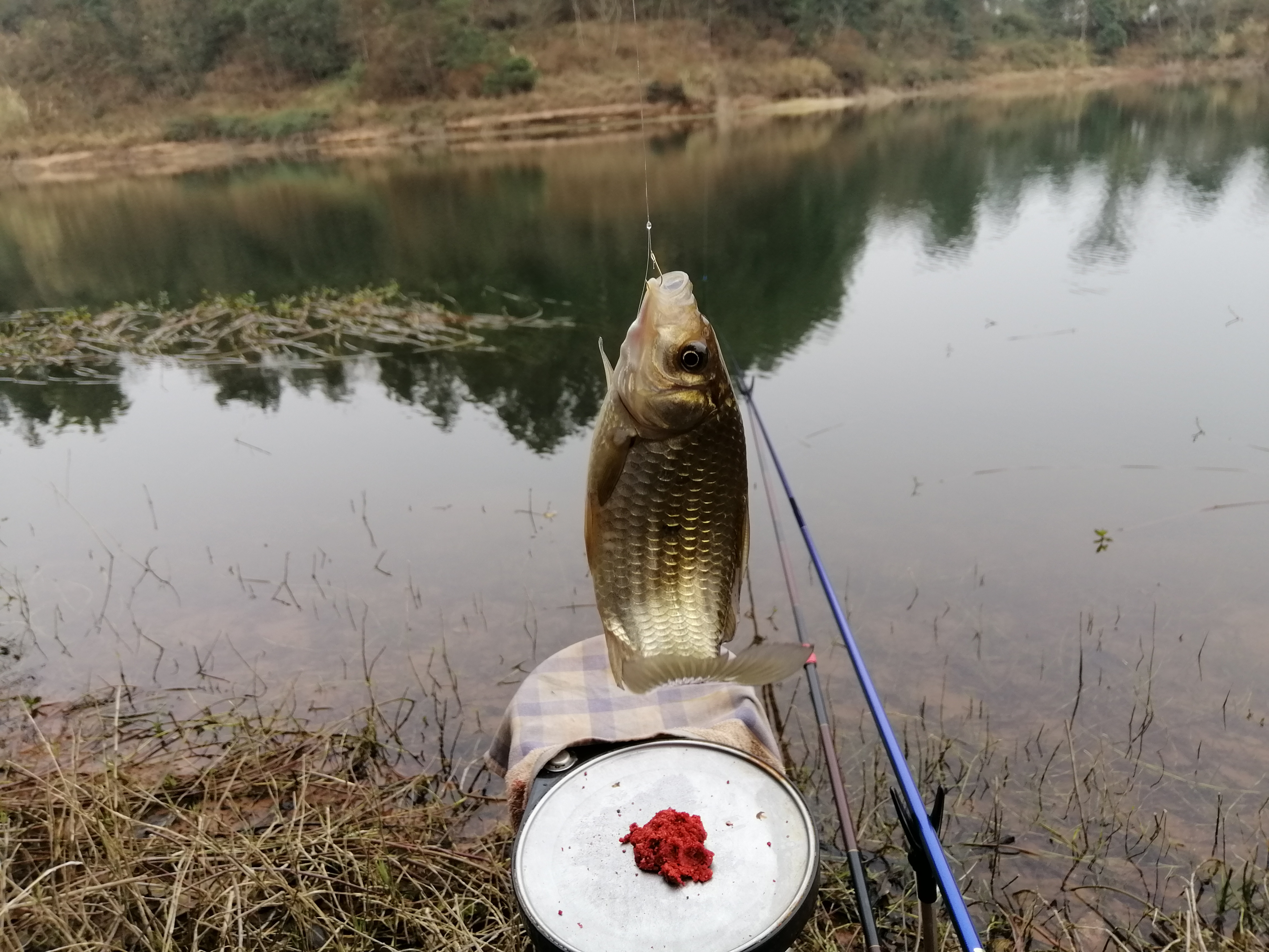 初春挑战攻略,初春挑战什么时候有