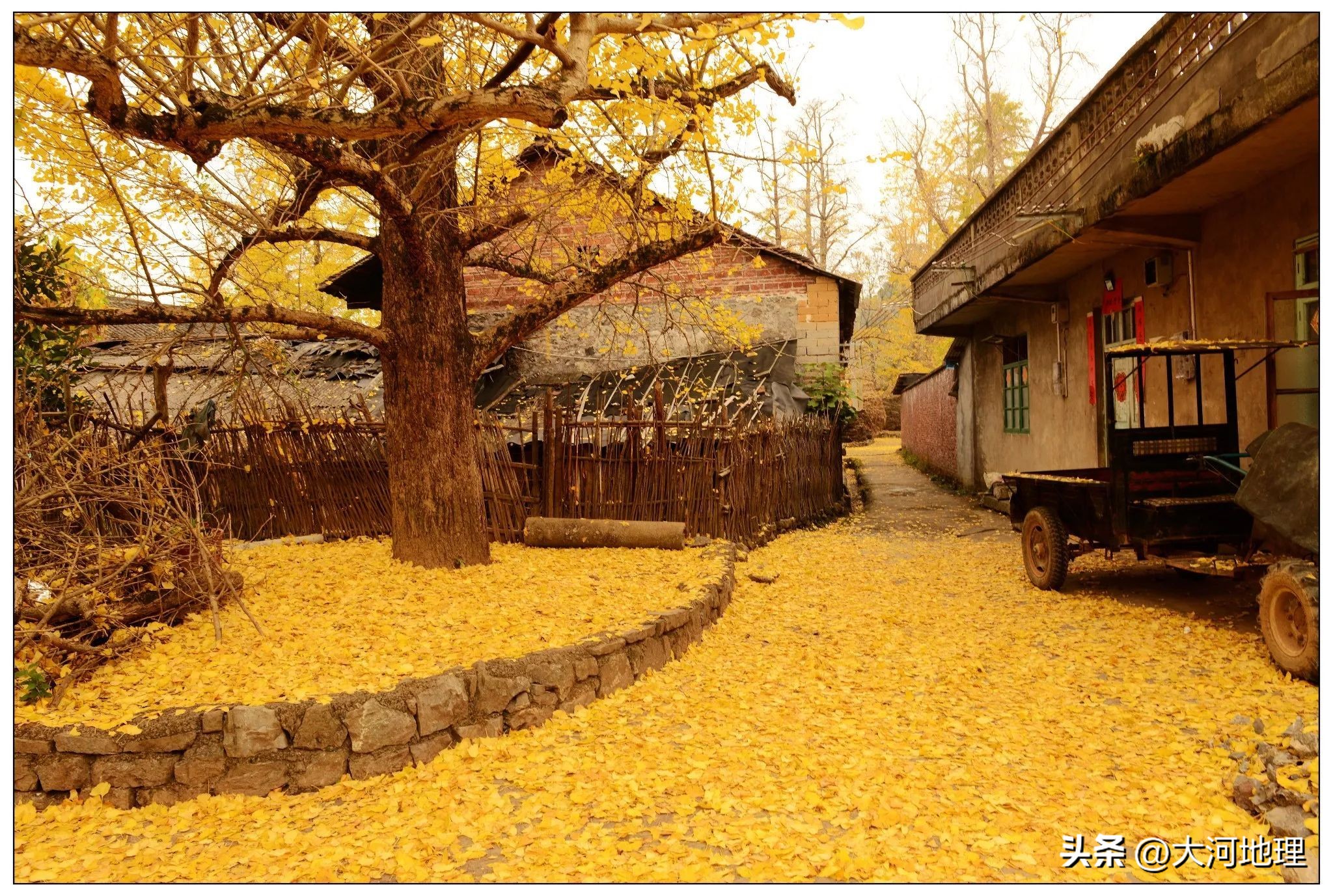 旅游攻略国内十大必去景点南方,中国南方著名景点