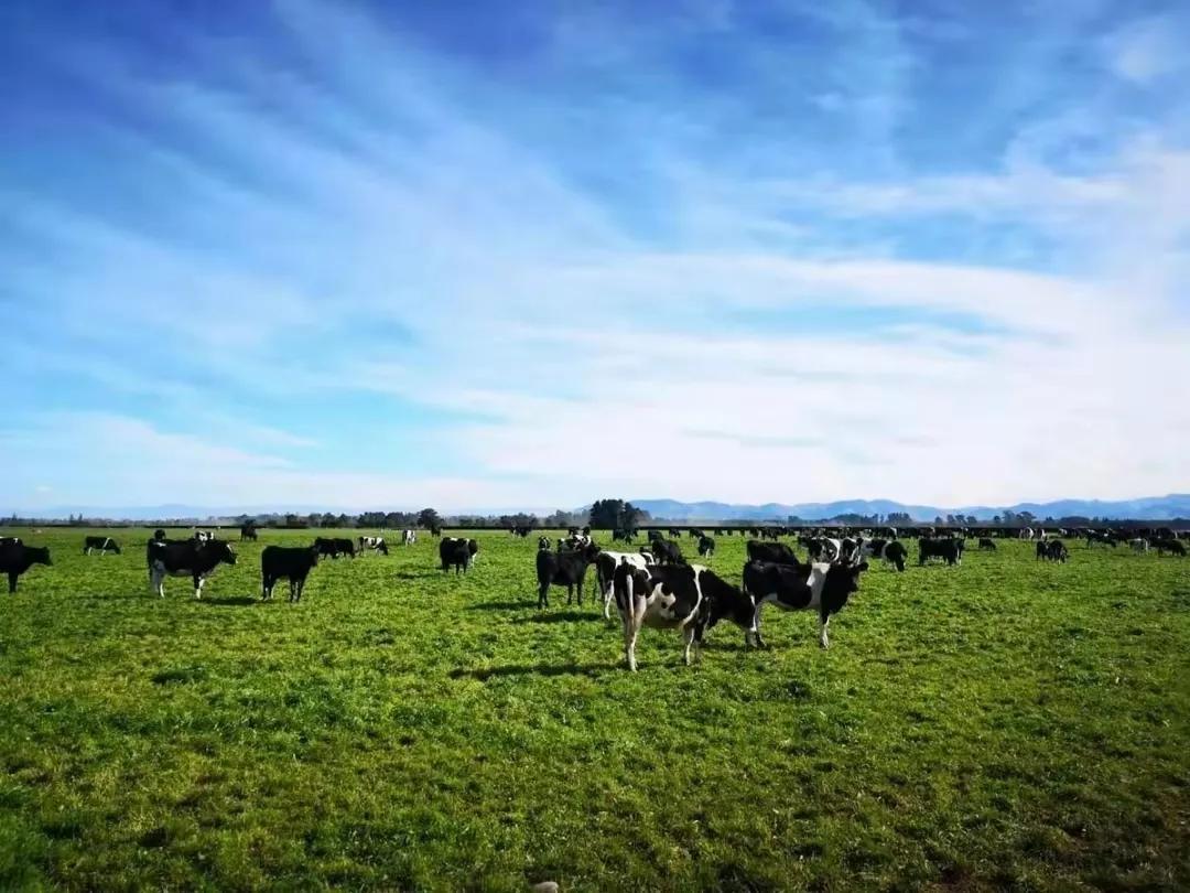 当过10年教师转行退休享受啥政策,88年当教师现在辞职还有什么待遇