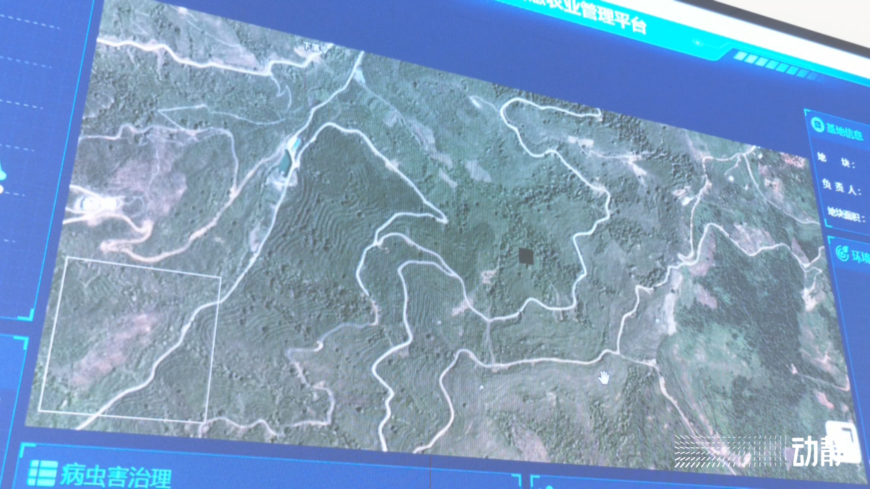 石头村的变形记,石头寨变形计