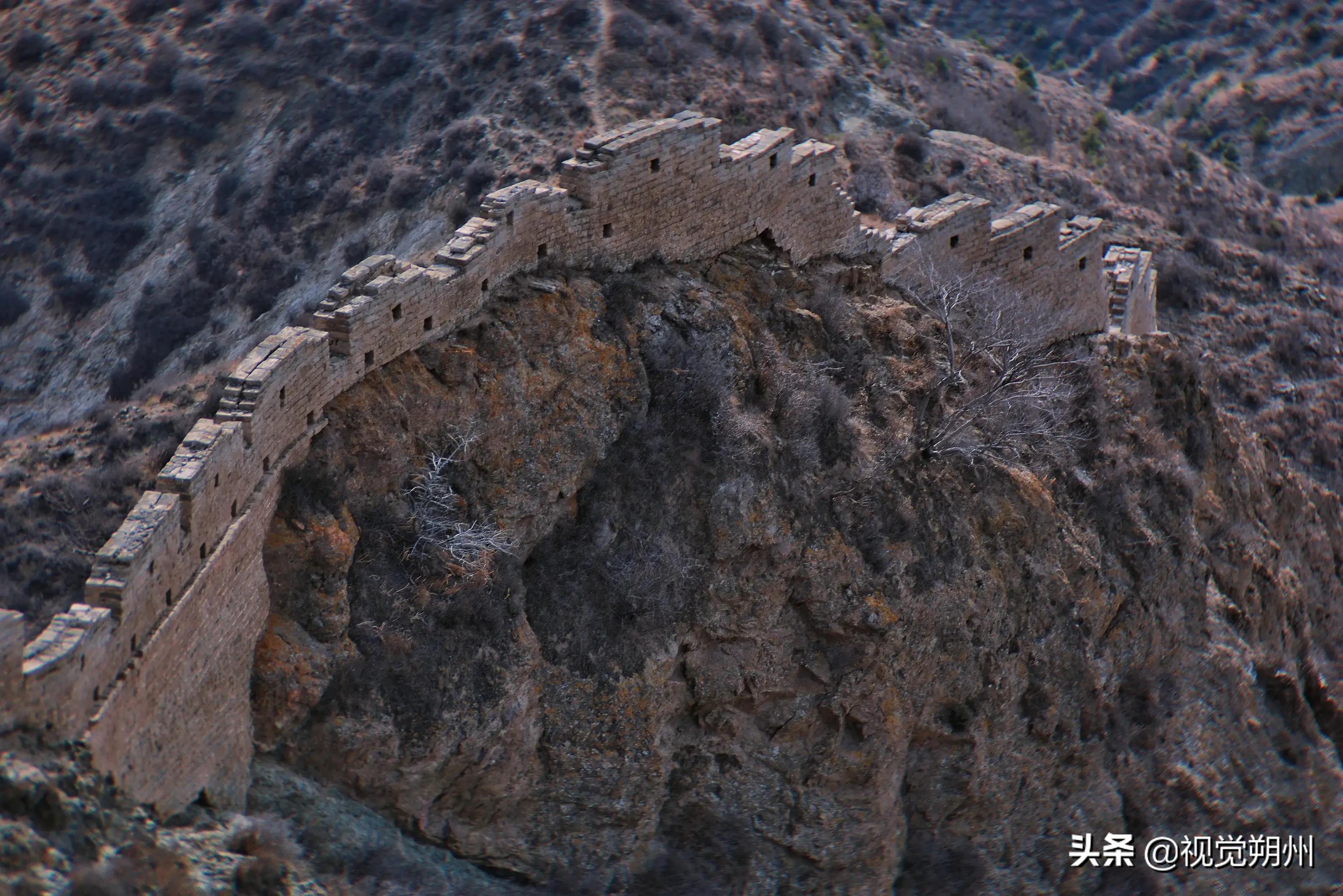 山阴县冬播谷子,山阴县冬天最冷多少度