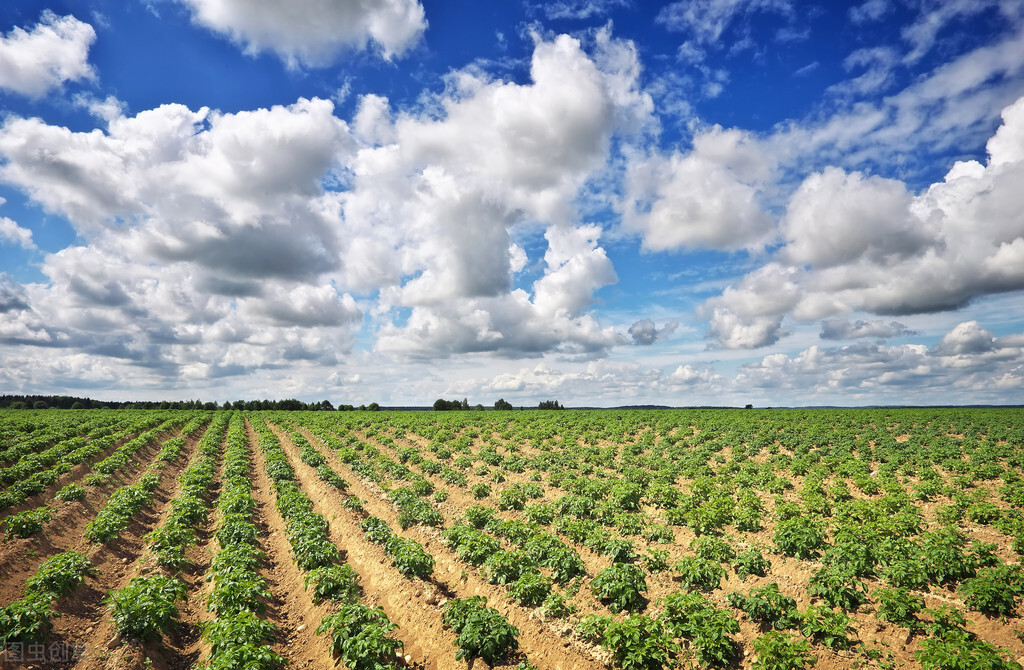 椋庢儏鍙ゅ反,椋庢儏鎷夌編