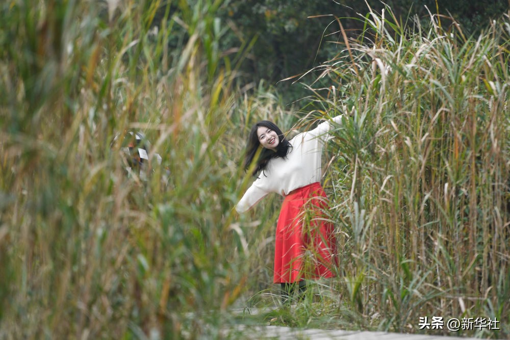 湿地之美惊艳了世界,湿地之美在什么地方