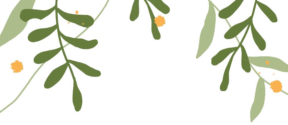 各种各味的布丁,布丁有一点点甜