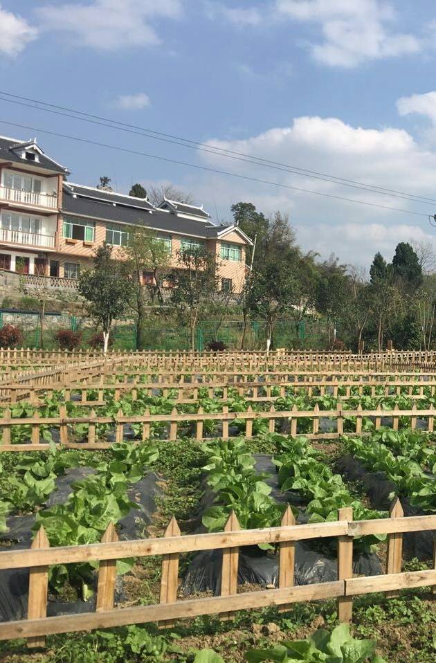 “造穷”致富的时代来了，有人已经赚得盆满钵满了