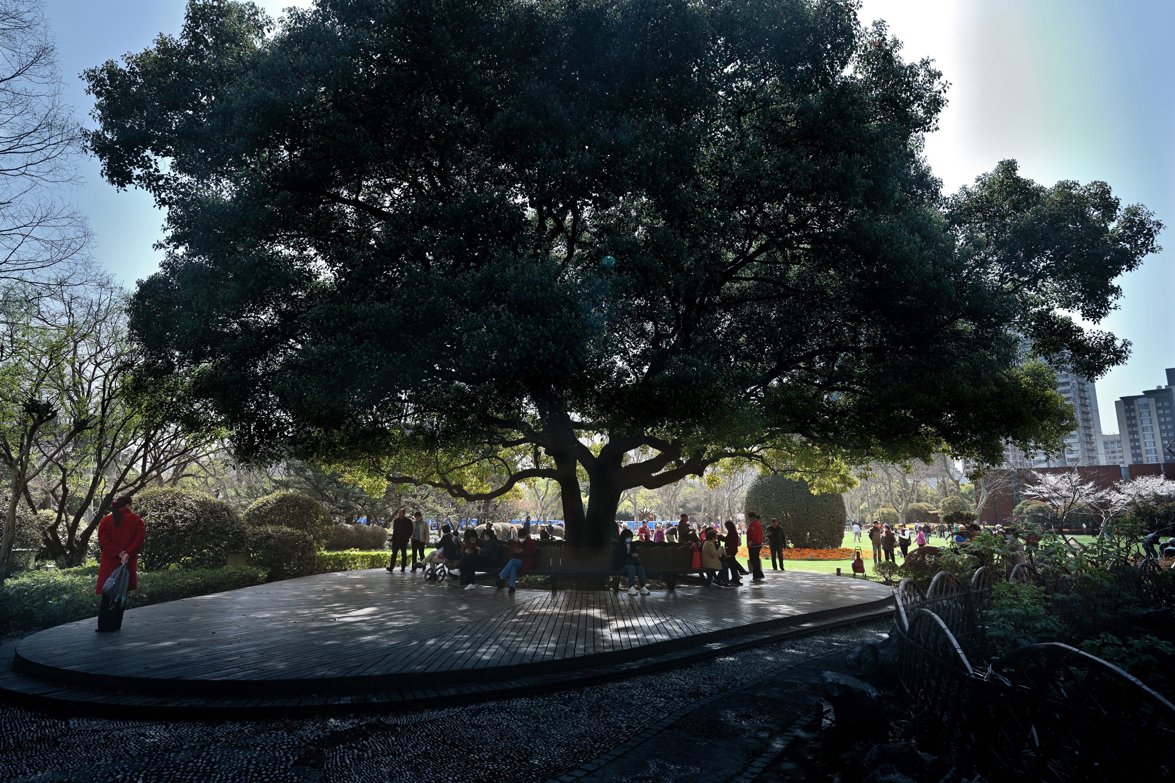 目前的上海中山公园,最新上海中山公园介绍