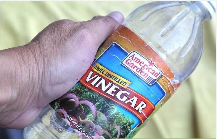 如何去除织物上的干血迹,去除织物血渍的最佳方法