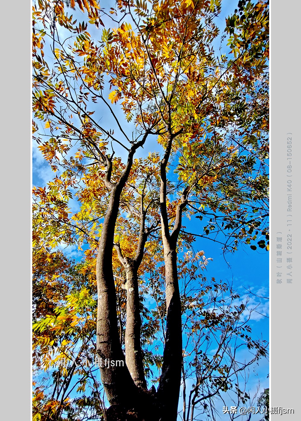 手机摄影构图技巧全解,玩转手机摄影一学就会的构图技巧