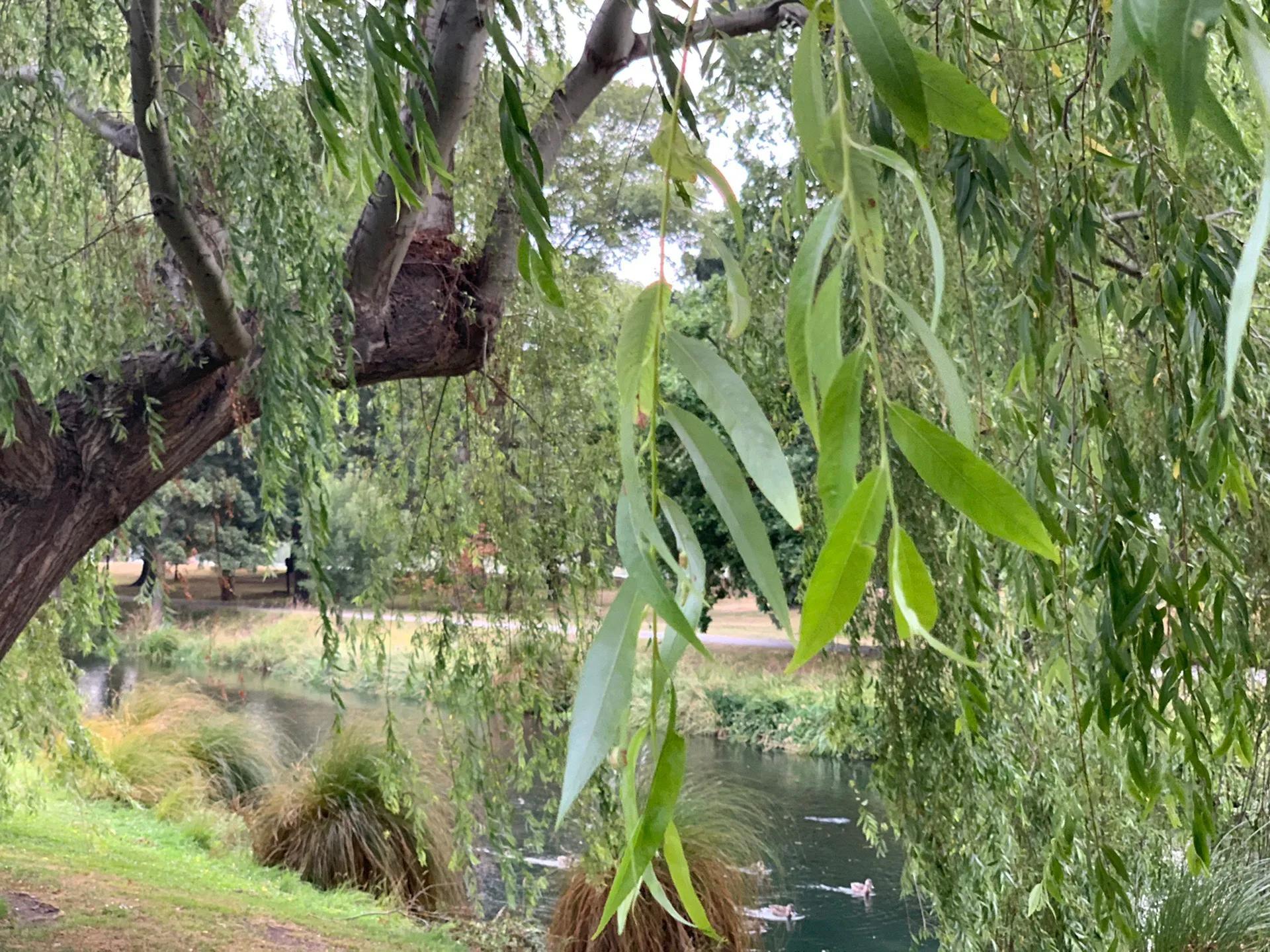 新西兰南岛自驾地图,新西兰南岛免费自驾游