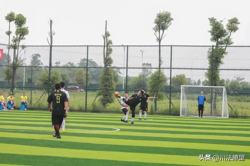 广安市第10届运动会直播回放,四川省广安市广安区第9届运动会