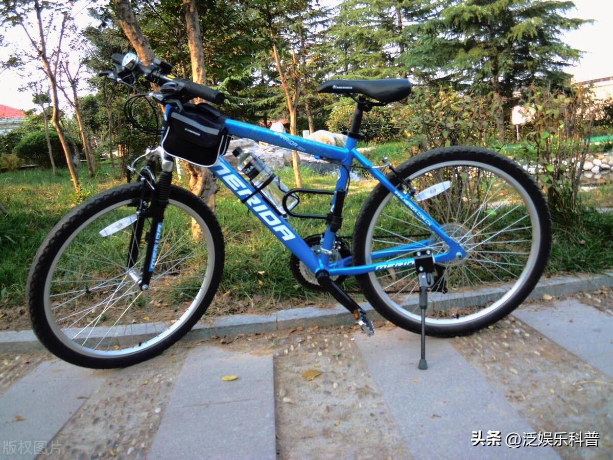 全世界十大知名自行车品牌排行图,当下哪个牌子的自行车最好