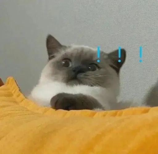 男子被骗数百万元却被警方罚,冒充公司领导被骗120万