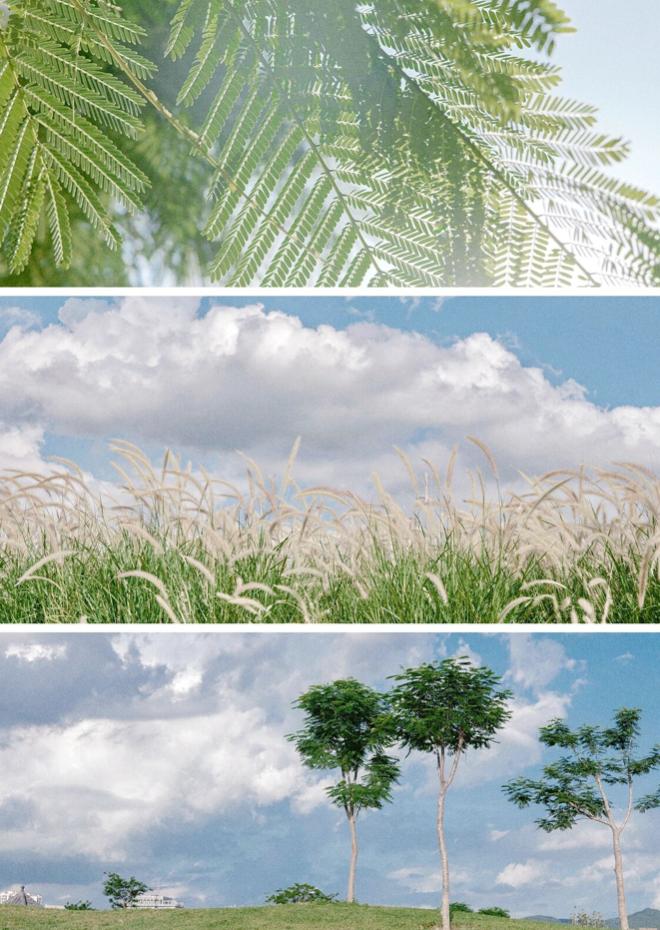 暑假遛娃好去处深圳,暑期遛娃好去处深圳