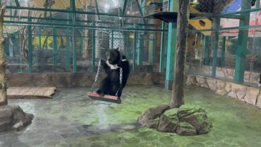 大无语事件！268元买了哈尔滨极地公园亲子票，被路人追着问了三条街！