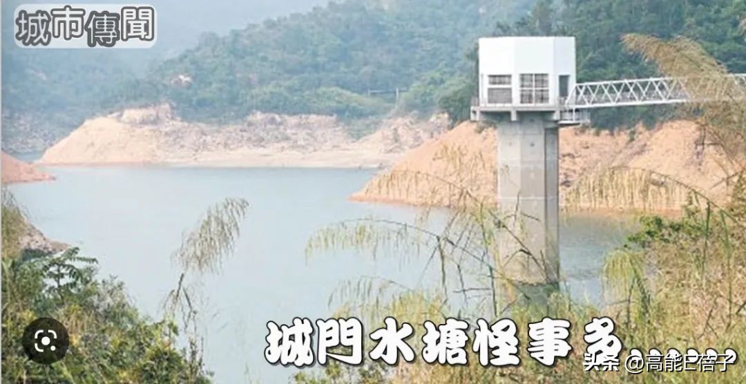 香港奇案单亲母亲报仇,香港奇案之灭门奇案