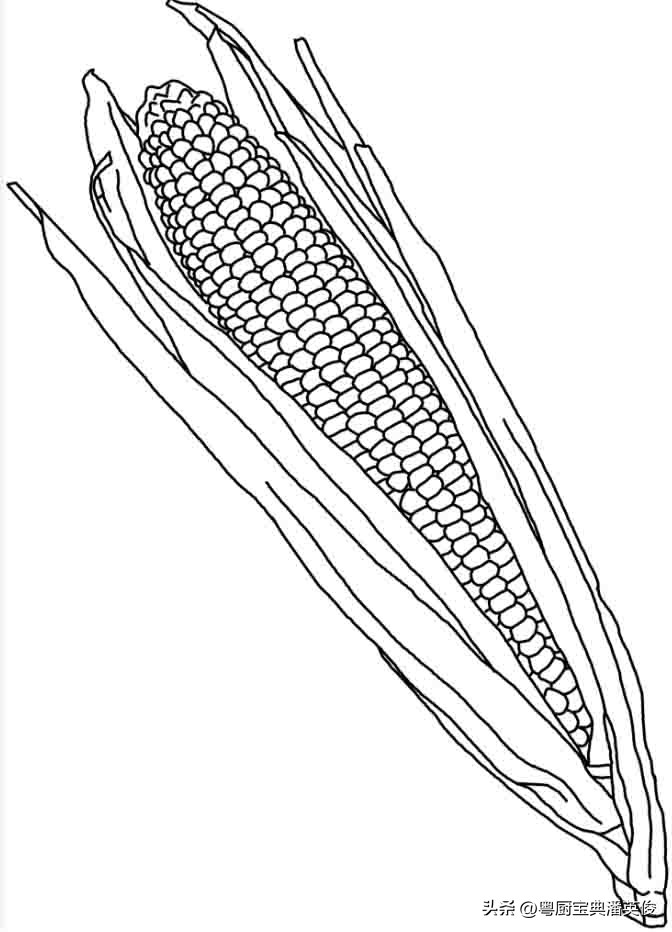 大厨讲解各种淀粉的用法,淀粉配方大全详解