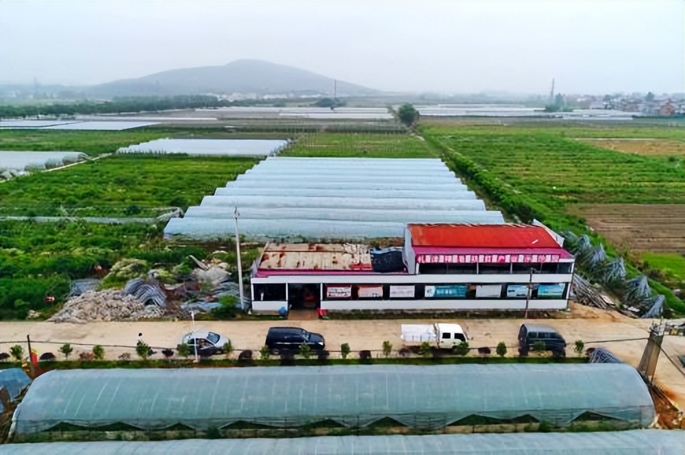 刘建生态养殖,刘建新脱贫攻坚战视频