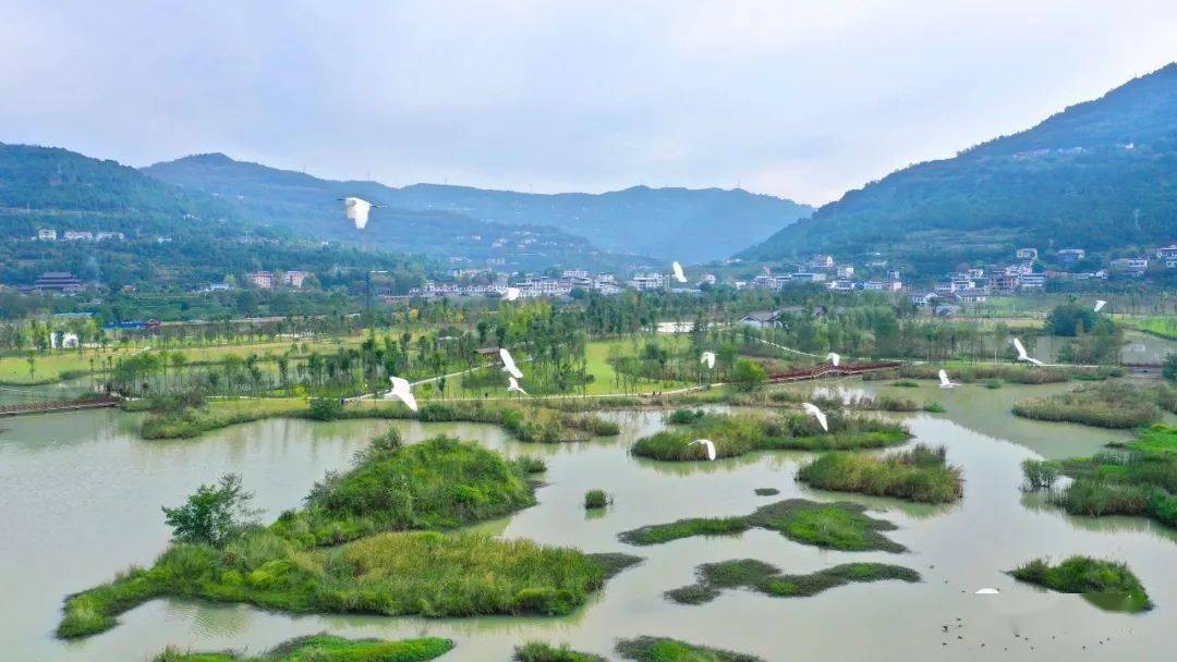 多元共治生态治理模式,多元共治的生态治理模式