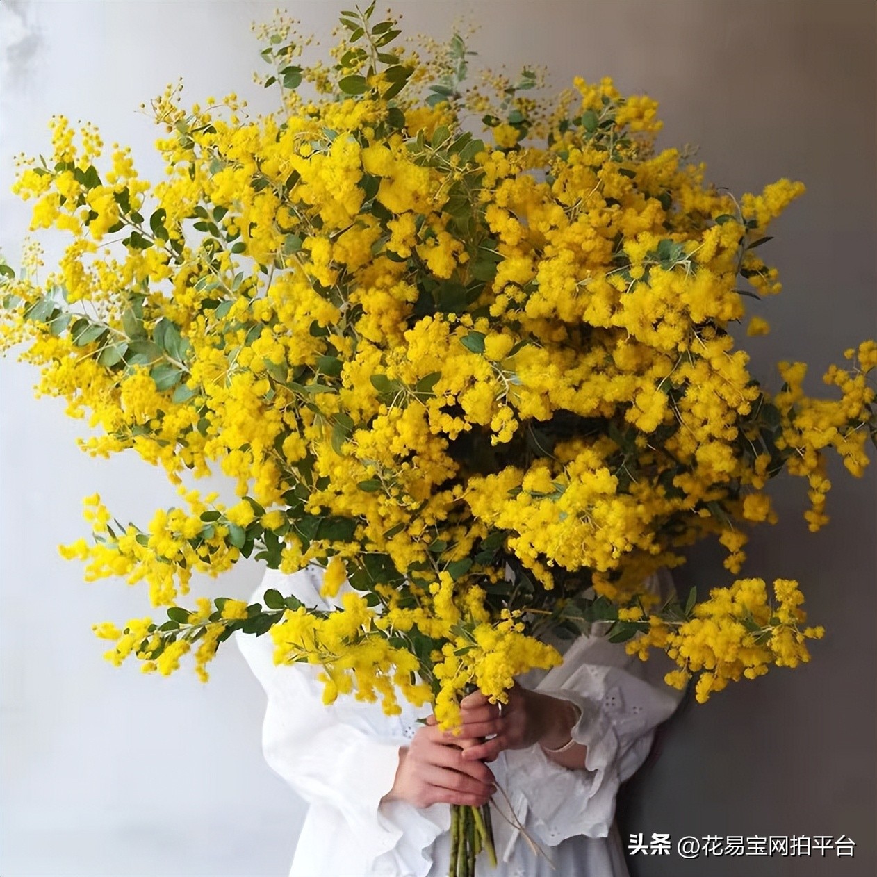 9月份红色好看的花材,颜值高的花束合集