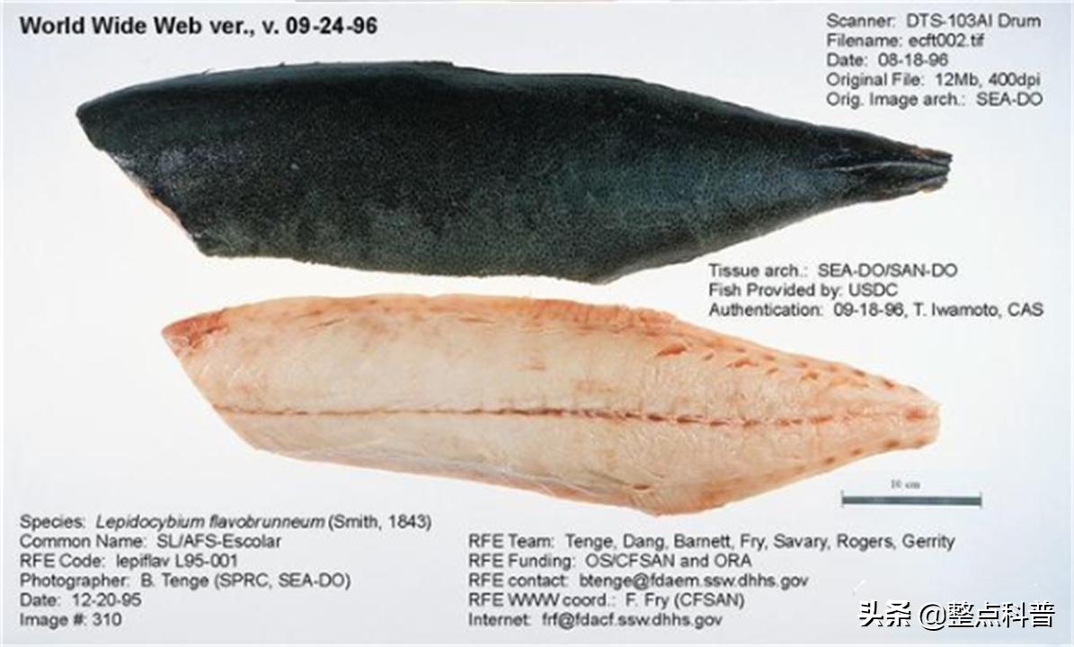 油鱼的副作用和危害,油鱼有害处吗