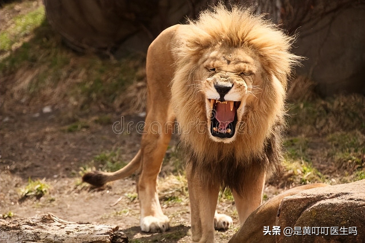 健康科普女生,科普女性健康体检