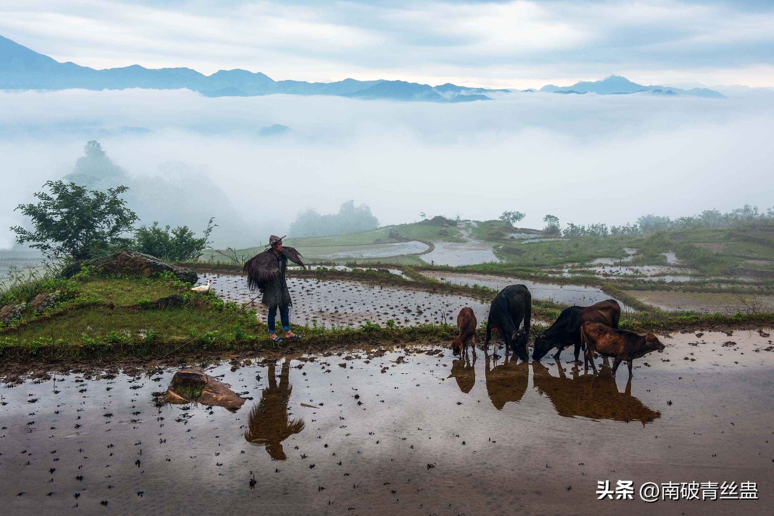 田园牧歌生活感受,田园牧歌纪录片