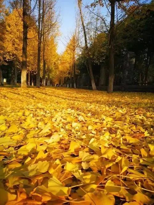 sothat和suchthat的用法区别,sothat和suchthat的用法与区别